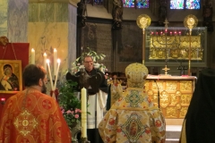 3 Begrüßung Dom
